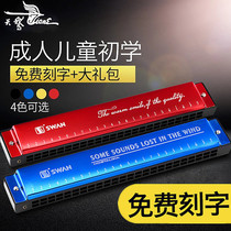 Swan harmonica beginner students adult children 24 holes professional performance Polyphonic c tune into the door self-study instrument
