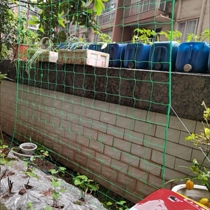 Planting loofah woven netting tomato vineyard climbing trellis grid grape bean carob orchard climbing passion fruit climbing vine netting