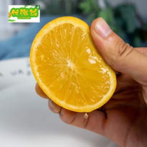 【全国包邮】云南橙子纽荷尔脐薄皮橙精品大果新鲜水果带箱5斤