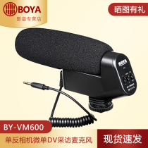 BOYA Boya BY-VM600 single anti-microphone recording microsingle camera live radio wheat