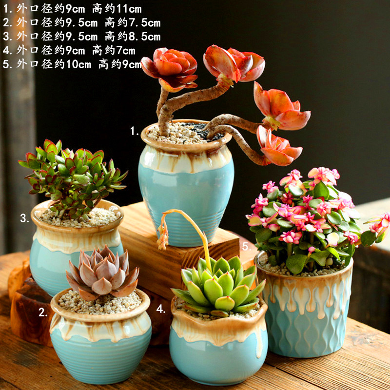 Fleshy flowerpot combination suit creative character coarse pottery breathable, lovely large meat meat the plants
