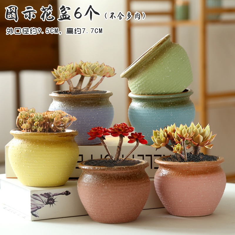 End special thick fleshy flowerpot ceramics ceramic grinding meat meat the plants of large diameter clearance retro breathable old basin