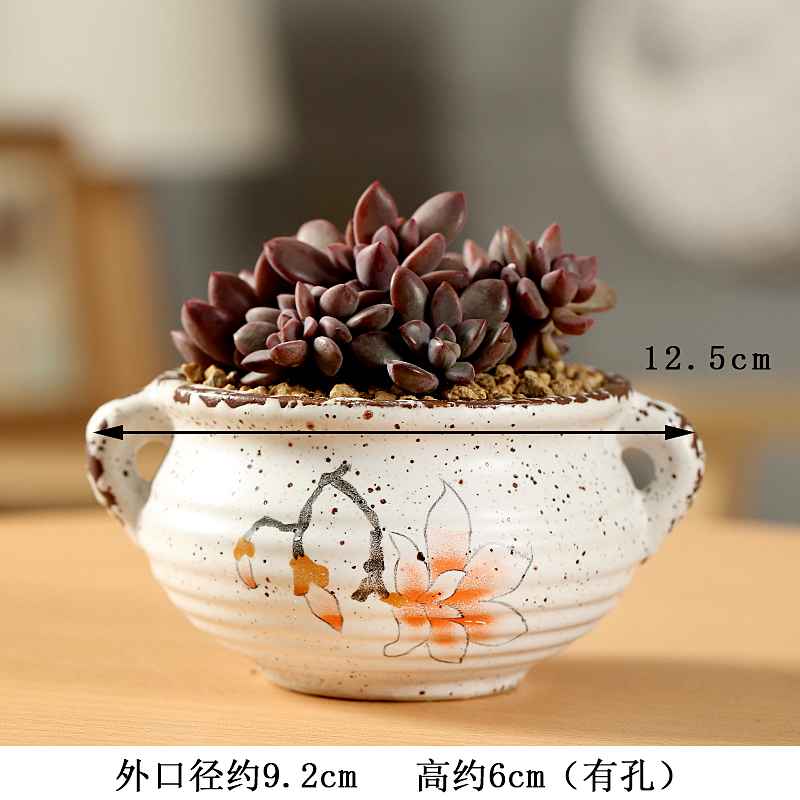 Period contracted indoor fleshy flower - pot ceramic creative Chinese wind hand - made pottery basin of flesh, flesh POTS