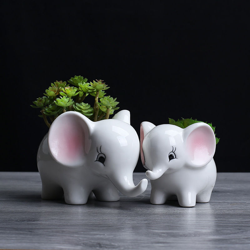 Fleshy flower POTS potted creative ceramic express little like animals indoor pot large Fleshy the plants ceramic flower pot