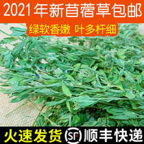 Alfalfa hay 20-year-old new grass Rabbit feed Rabbit grass Totoro grass Dutch pig grass Rabbit food Alfalfa grass