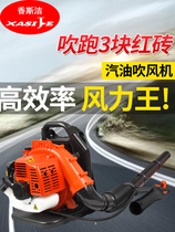 Hair Dryer High Power Back Negative Type Petrol Blower Road Leaf Blower Blow Snow Blower XS80
