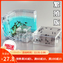 Ant Castle with nest breeding version to send queen nest super large transparent Ant Workshop ant ant home Ant nest Kingdom