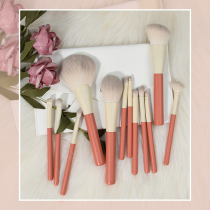 Aidoran Cangzhou 12 pink Series makeup brush set beginner set of giant soft concealer eye shadow brush