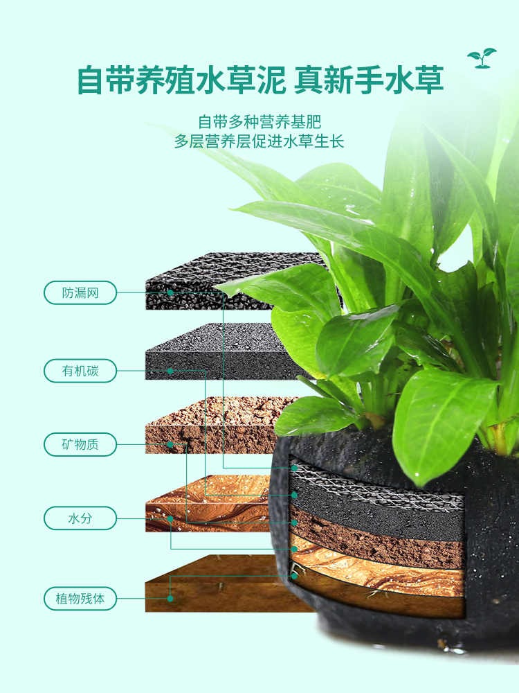 Fish Tank Water Grass Grass Plant Aerating Fresh Water Novice Water Grass Lazy Package Landscape Ficus Grass Live Fish Grass