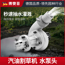 Lawn mower water pump head Four-stroke two-stroke Knapsack side hanging special household water pump Micro-type water pump