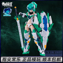 The four Holy Beasts of the Xuanwu original machine Mother series 1 12 ATK GIRL assembly model