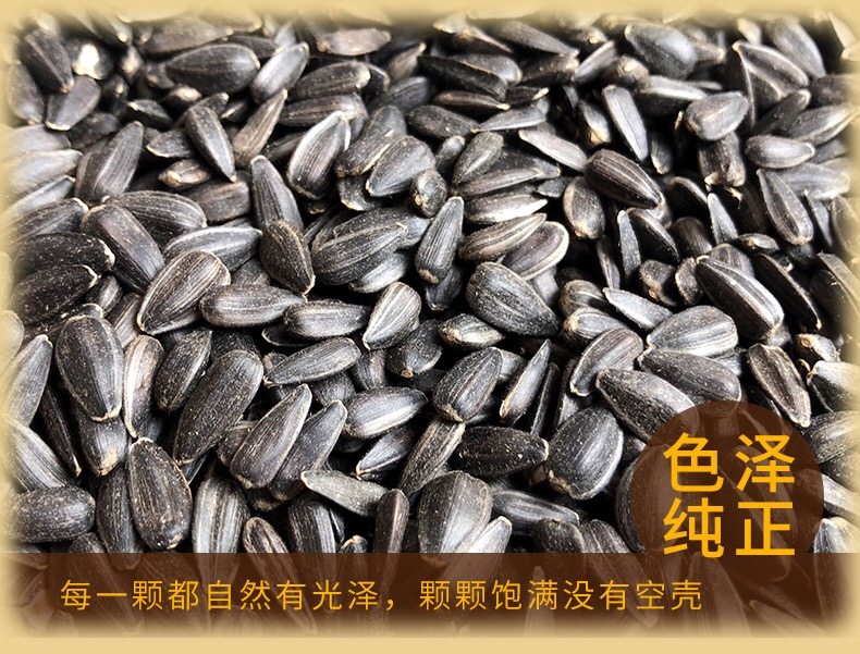 黑珍珠小瓜子葵花子油葵籽鹦鹉鸟食仓鼠零食鸟粮鸽粮五斤包邮