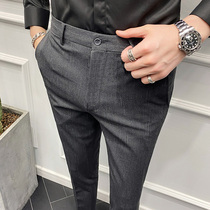 Spring mens casual striped pants pants trend Korean slim black straight small feet stretch pants vertical sense