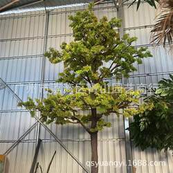 Simulated Green Ginkgo Tree Simulated Plant Green Maple Tree Wishing Tree Artificial Plant Little Mystery Your Beauty Maple Tree