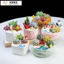 Multi-meat ceramic set combined meat plant combination pot package containing pot DIY pot material