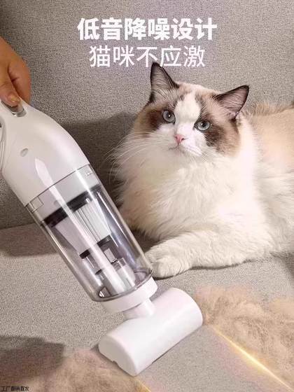 가정용 용도 용 무선 진공 청소기, 대형 흡입 핸드 헬드 강아지 및 고양이 제모 소형 사일런트 진공 청소기 가정용 용도 용 무선 진공 청소기, 대형 흡입 핸드 헬드 강아지 및 고양이 제모 소형 사일런트 진공 청소기