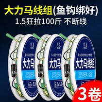 Sichuan Vigorous Vigorous Horse Line Group Fish Line Main Line Suit Complete of Large Things Silver Carp Fishing Group Fish Hook Double Hook to tie the finished product