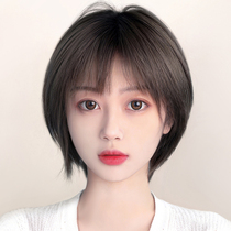 Wig Short Hair Women Summer Full Human Hair Reduction Bobo Natural Real Hair Fit Round Face Clavicle Full Hair Cover