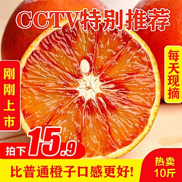 CCTV推荐！塔罗科血橙10斤5斤玫瑰香橙水果[5元优惠券]-寻折猪