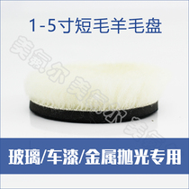  3 inch 5 inch car front gear tempered glass car paint beauty polishing shorthair wool plate