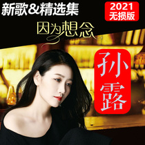 Fever Female Sound HiFi Sun Dew Album Car Load U Pan With Song Online Red High-quality Car 2021 Non Destructive High Sound Quality Music Youpan