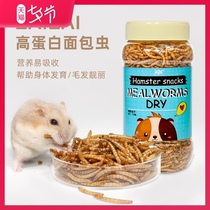 Again bread worms dry hamster food golden silk bear food main food hedgehog snacks yellow mealworms feed and nutrition supplies