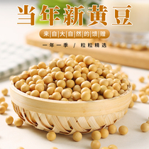 Whale Xiaoxia New Northeast soybeans to fight soy milk special Heilongjiang soybeans 5 pounds of grain large grain soybeans farm self-seed