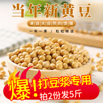 Whale Xiaoxia Northeast new soybeans to fight soy milk special Heilongjiang large-grain soybeans 2 pounds 1kg farm soy milk soybean grains