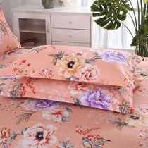 Pillowcase pair of clothes 47 * 74cm thickened pillowcase clamp cotton single double zipped pillow core cover