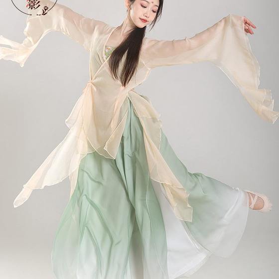 Long Dance Professional Clothes Dance Chiffon Classical Dance Costume 공연 중국 연습 의류 민족 테이블 Long Dance Professional Clothes Dance Chiffon Classical Dance Costume 공연 중국 연습 의류 민족 테이블