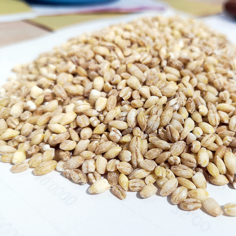 【拍2件发3斤】丰之坊脱皮麦仁米(热品库)