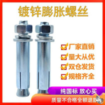 Ruoyan galvanized iron expansion screw m8 GB 10mm extended super long m12 Peng expansion rose 14 concrete expansion