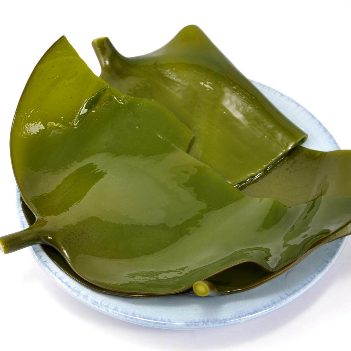 新鲜蔬菜厚海带头5斤 盐渍保鲜半干野生海带根烟台特产