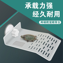 Turtle platform Turtle platform Climbing platform Turtle platform Climbing platform Aquarium landscaping Floating platform Floating island ladder Basking platform