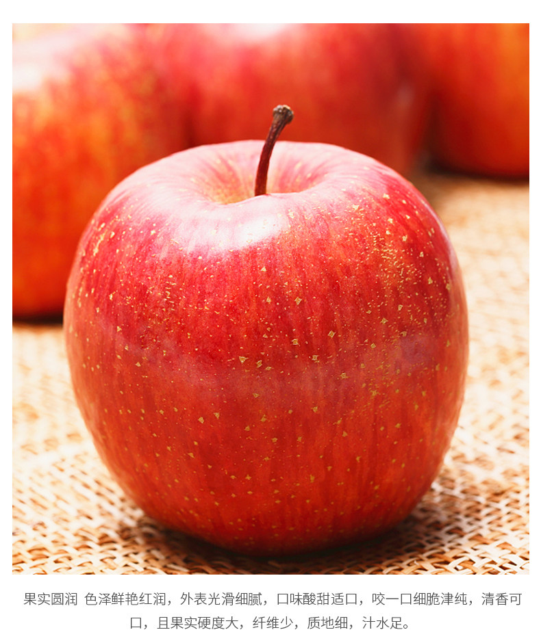 山东烟台栖霞红富士苹果当季新鲜水果产地直发脆甜红苹果_慢慢买-淘宝