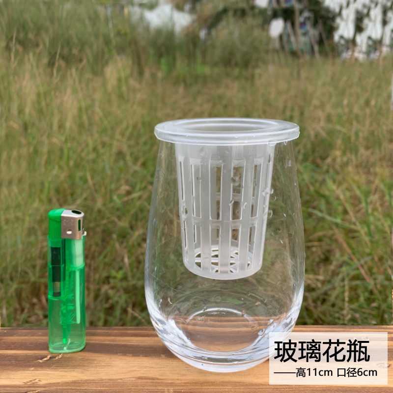 A hydroponic plant vase transparent glass container water raise creative Chinese style flower ceramic flower pot desktop vessels