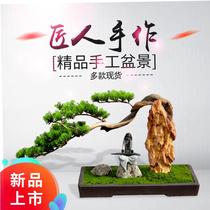 Discount spot New Chinese style simulation Yingke Pine Bonsai Dry landscape landscape strange stone green plant potted flower arrangement decoration