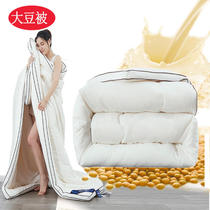 4 Jin Thin Quilt Spring Autumn Quilt 220 X 240 Quilt Core Cotton Quilted By Winter Bedding Thickened 2 m x 2 3 Single Double Hotel 8