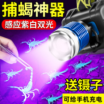 Scorpion light USB charging induction headlamp Catch scorpion purple light white light strong light long-range headlamp
