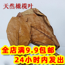 Aquarium natural lily leaves Longan leaves reduce the fish tank pH value aquarium acid reduction regulation lazy leaves