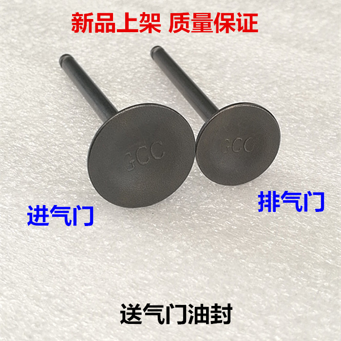 Suitable for Wuyang Honda WH100T-A-H-F-G little Princess Youyue joy SCR100 intake and exhaust valve