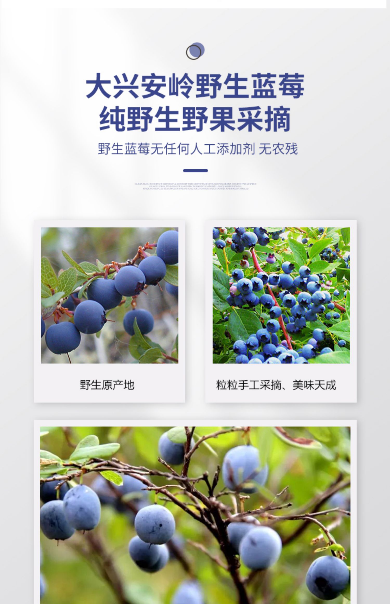 【五行健】大兴安岭野生蓝莓原浆30ml*10袋