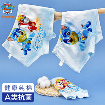 Wangwang team boys underwear cotton summer thin boy boxer pants boxer boys baby underwear