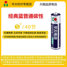9.9元包邮 华太 普通碳性电池 5号/7号 40节装