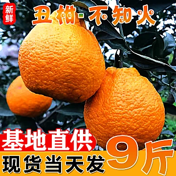 【四川丑橘不知火】净重5斤大果85mm整箱[14元优惠券]-寻折猪