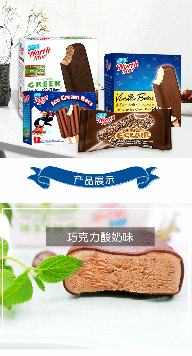 美国进口12支x2件northstar冰北星海盐巧克力酸奶夹心冰淇淋