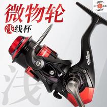 Micro-material spinning wheel inclined shallow line cup mini fishing wheel small root throwing fishing wheel throwing Rod gap metal white strip