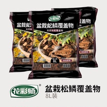 Floral master pine bark organic mulch bark bark paving potted pine scale mulch orchid nutrient soil