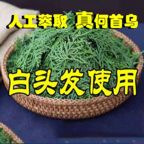 Polygonum multiflorum white hair black hair herbal shampoo root turn black pure plant juvenile white hair attack artifact