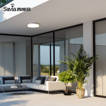 Sivia LED ceiling lamp Modern minimalist living room lamp Dining room bedroom lamp Outdoor waterproof wall ceiling lamp